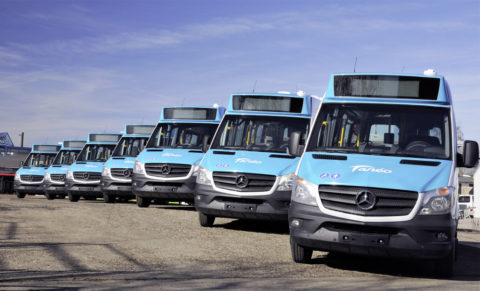 Setra und Sprinter Busse im Linieneinsatz auf Grande Terre